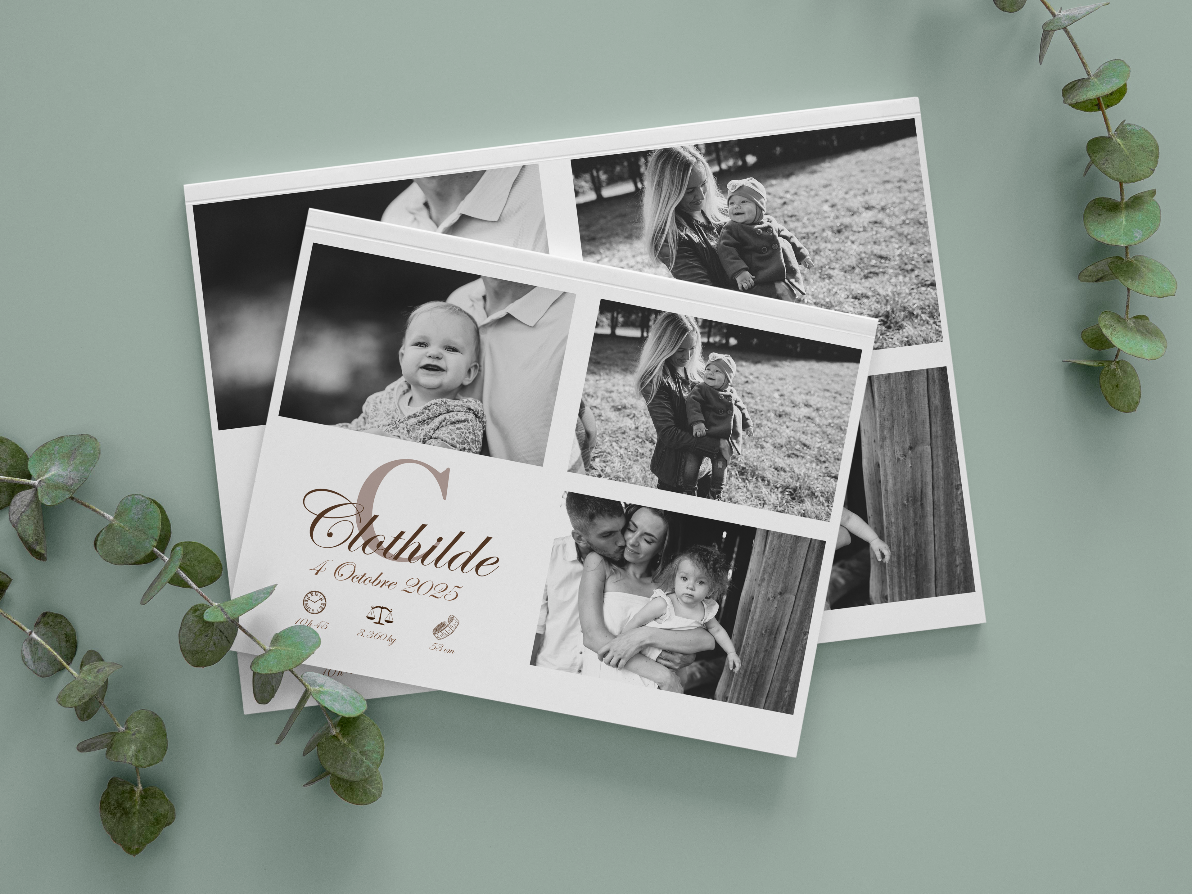 Faire part Naissance Chlothilde